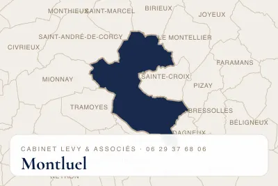 Expert comptable à Montluel
